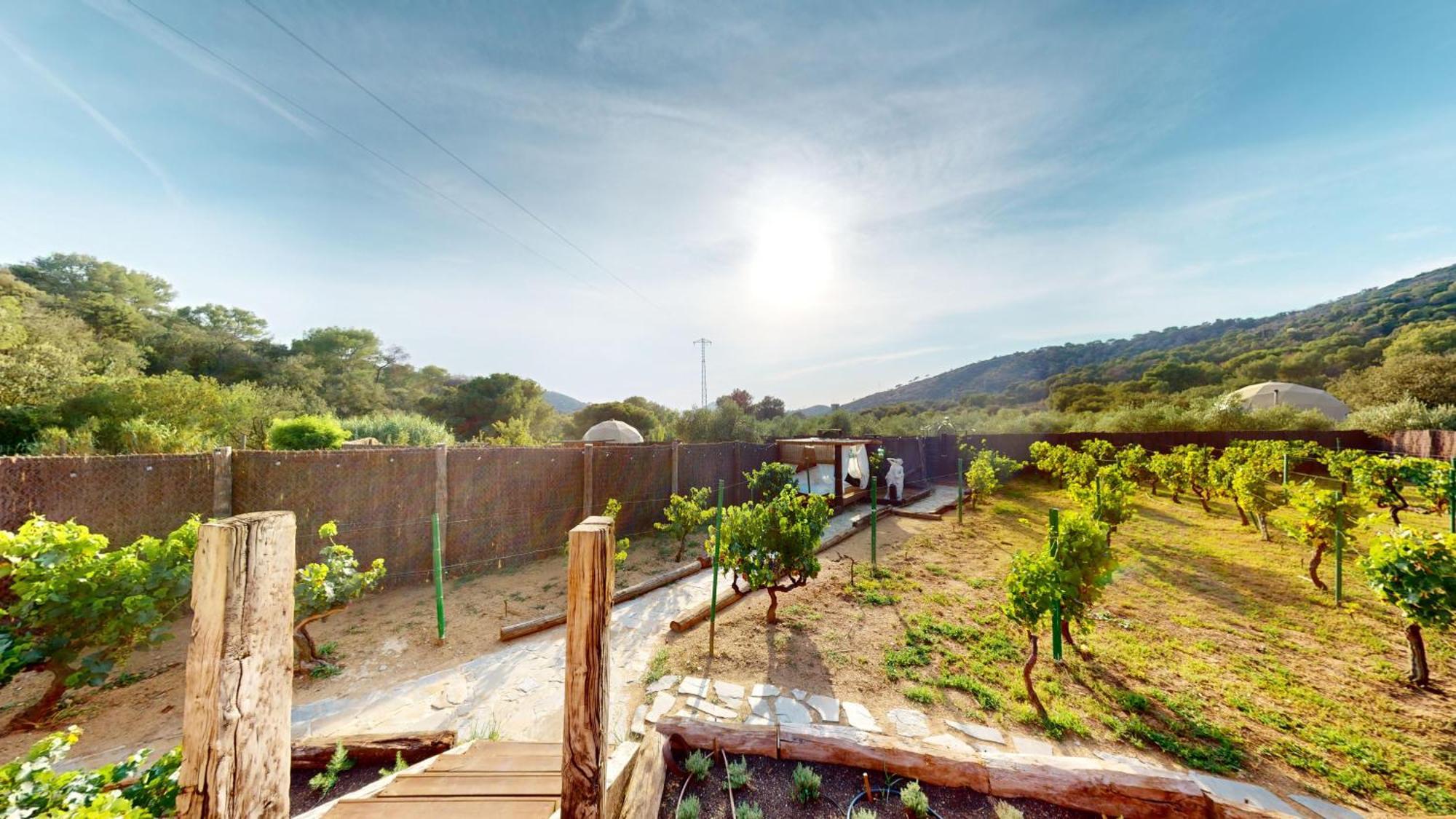 Domo Suites Masia Cal Geperut Badalona Exterior foto